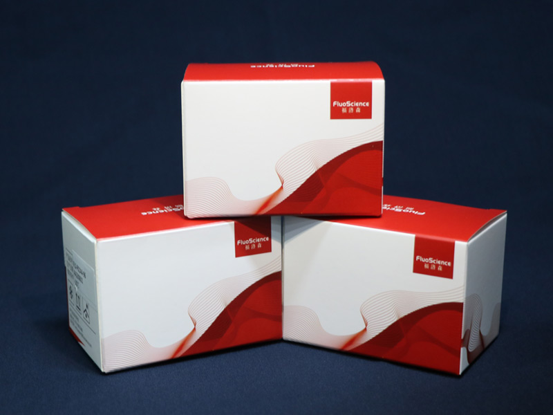 猫支原体快速核酸检测试剂盒（荧光PCR探针法）