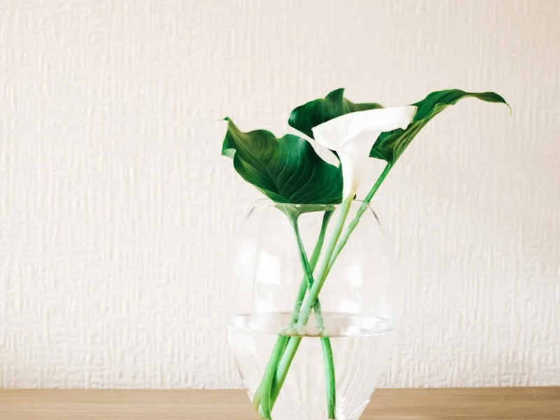 呼吸道感染分子诊断试剂解决方案